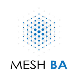 MESH BA